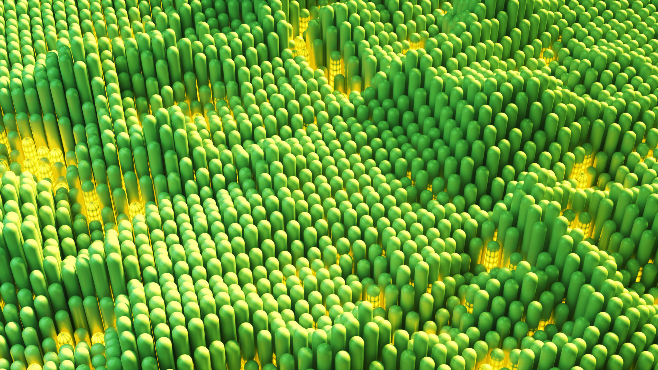 Capsule manufacturing